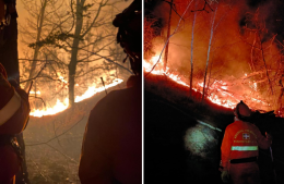«Incendi dolosi opera di criminali»: cos'è successo nei boschi sopra Cumiana