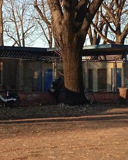 Piscina Sempione, la droga è per tutti «Un’anziana con il cane fra i clienti»