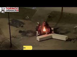 Aurora: tagliano i rami degli alberi e accendono falò  nel giardino - IL VIDEO 