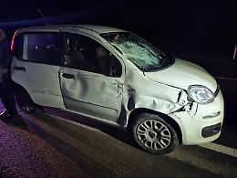 A Venaria Reale una Fiat Panda esce di strada colpendo il muro del Parco La Mandria