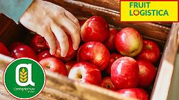 "Fruit Logistica 2025": Confagricoltura Cuneo a Berlino per rafforzare l’export