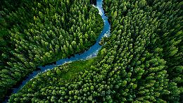 Qual è il paese più ecologico del mondo? La risposta ti sorprenderà