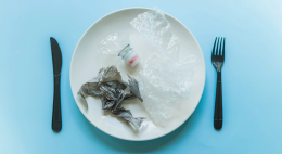 La plastica è nel nostro cervello: quanto è grave la situazione?