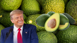 Avocado a peso d’oro: i dazi di Trump fanno volare i prezzi