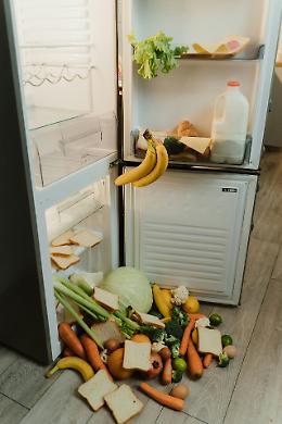  Le idee svuota-frigo: il ricettario di Torino per combattere lo spreco alimentare