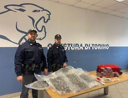 Oltre 11 chili di droga in casa, auto e garage: 60enne arrestato
