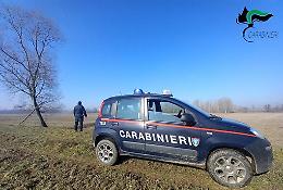 Terreni demaniali occupati senza permesso: tre agricoltori denunciati, evasione da 86 mila euro