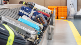 Scoperta bizzarra all'aeroporto di Zurigo: viaggiatore fermato con testa di coccodrillo nella valigia