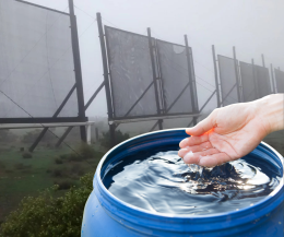 Acqua potabile dalla nebbia? Si può (anche nel luogo più arido del pianeta)