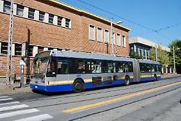 Torino: calci, pugni e pietre contro un autista del bus (ma l'aggressore è già libero)