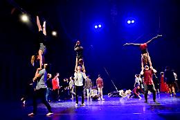 "Zoography": spettacolo gratuito della FLIC Scuola di Circo in scena a Torino