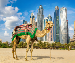 Pioggia (a pagamento) nel deserto, Dubai ci riprova: l'AI per la "semina delle nubi"