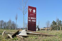 Inaugurato il Bosco del Toro: "Dedicato a Ginetto Trabaldo"