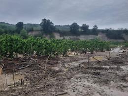 Agricoltura a rischio nel 2025: Coldiretti parla delle anomalie climatiche