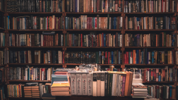 Marzo di letture e scoperte: gli appuntamenti della biblioteca tra laboratori e letture itineranti