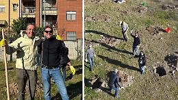 Grugliasco diventa più verde: Microtecnica e Paulownia4Planet creano un nuovo bosco urbano