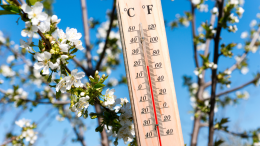 Meteo Piemonte, arriva il caldo. L'inverno è già finito?