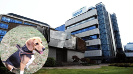 Il caso beagle: proteste per la sperimentazione animale, Aptuit sotto i riflettori