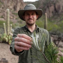 "Il diavolo lanoso": scoperta in Texas una nuova specie botanica