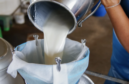 Latte crudo: numerosi benefici e rischi per la salute