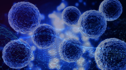 La cellula virtuale: una rivoluzione nella ricerca biomedica che può cambiare tutto