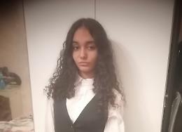 Scomparsa nel nulla a 14 anni, ricerche in tutta Torino 
