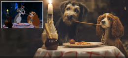 I cani dei cartoni animati: ecco le razze che hanno ispirato i pelosoni più famosi della tv