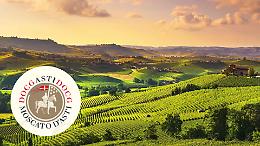 Moscato DOCG: storia, qualità e il dibattito sull’ampliamento dei confini