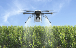 Innovazione in agricoltura: un convegno per sostenibilità e nuove opportunità