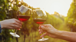 "Barberando": un viaggio tra gusto e vino a Costigliole d'Asti