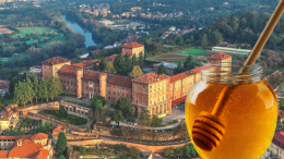 Moncalieri capitale del miele 2025: arriva "Miel'è"