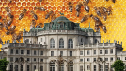 La Palazzina di Stupinigi diventa il regno delle api