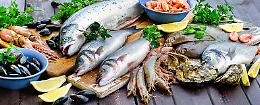 Gestire la fibrillazione atriale: consigli e ricette per un cuore sano