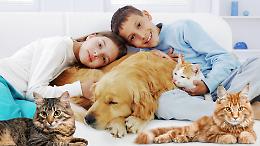 Letture animate, pet therapy e giochi: un evento per i bambini con 'ApidiCarta'