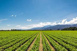 Coltivato: il festival internazionale dell'agricoltura torna a Torino con un focus sull'acqua