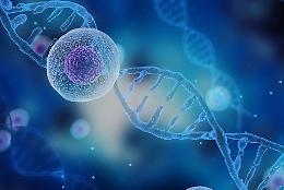 Medicina di precisione: Torino ospita una conferenza sulle nuove frontiere della ricerca