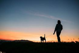 La miglior passeggiata con il cane? Quella dove è lui a portarci