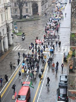 Torino in piazza contro la vivisezione: la protesta sulla crudele realtà dei laboratori