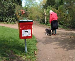 Ivrea e il dna canino: la nuova frontiera della pulizia urbana