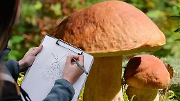Il calendario naturalistico di Cherasco: torna il concorso che unisce arte e natura