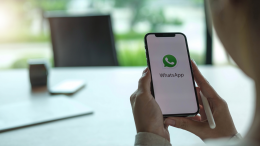 "Modalità capibara": come cambiare l’icona di WhatsApp e unirsi alla moda del momento