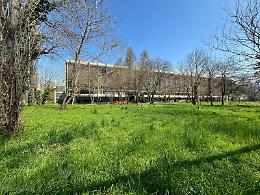 Palazzo Nervi, l’ecomostro in periferia
«Ma in qualche mese avrà un destino»