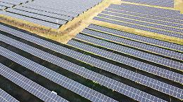 Pannelli fotovoltaici al posto dei campi coltivati: mille ettari di terreni a rischio