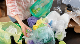 Centro di Torino: criticità nella raccolta dell’organico con il nuovo porta a porta