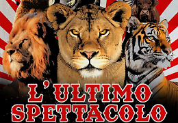 "L'ultimo spettacolo" al Lux «per un circo senza animali»