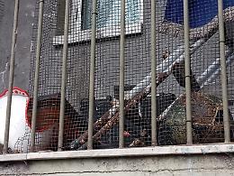 Via Bologna, sgombero di un alloggio abusivamente occupato dai rom
