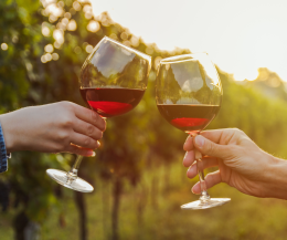 Vino, l'export vale 8,1 miliardi: ecco cosa lo minaccia (oltre ai dazi)