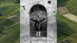 "ALdiLà" di Davide Barzaghi, arte e vino si incontrano ancora alla cantina Michele Chiarlo