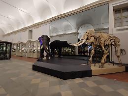Il Museo Regionale di Scienze Naturali di Torino celebra l'Earth Day: un evento tra arte, legalità e musica
