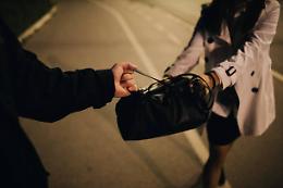 Rubano una borsa, ma vengono incastrati dal gps: arrestati due uomini